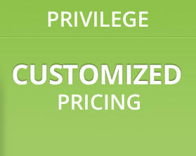 Privilege - Customized Pricing